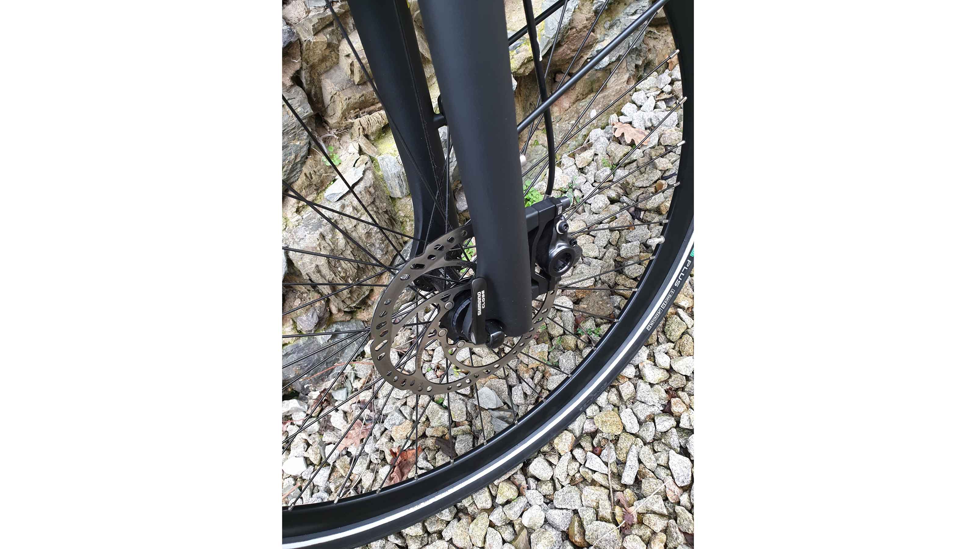 Gazelle Ultimate C5 625Wh Nexus 5-Gang Freilauf