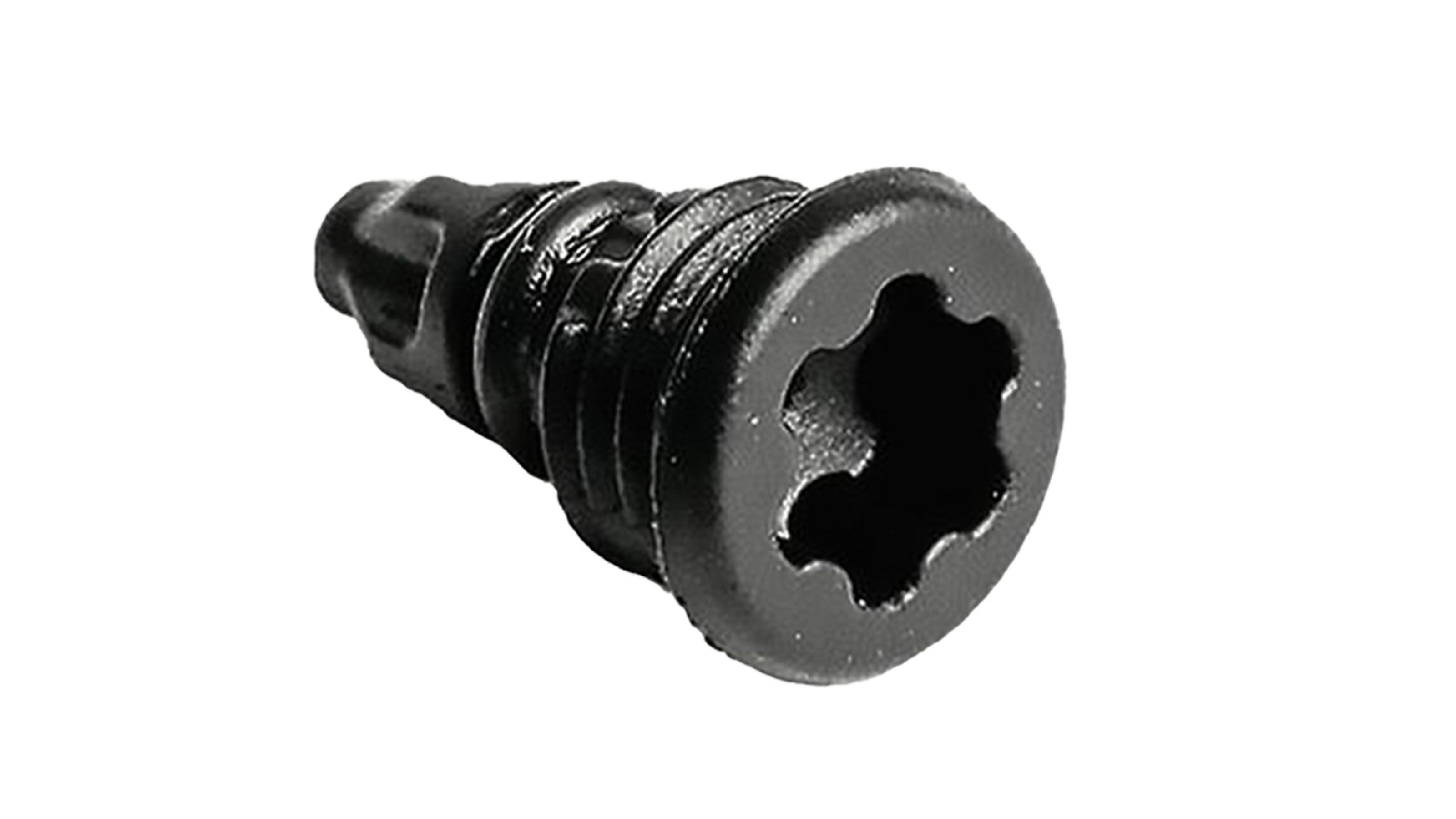 Magura EBT-Schrauben mit O-Ring T25