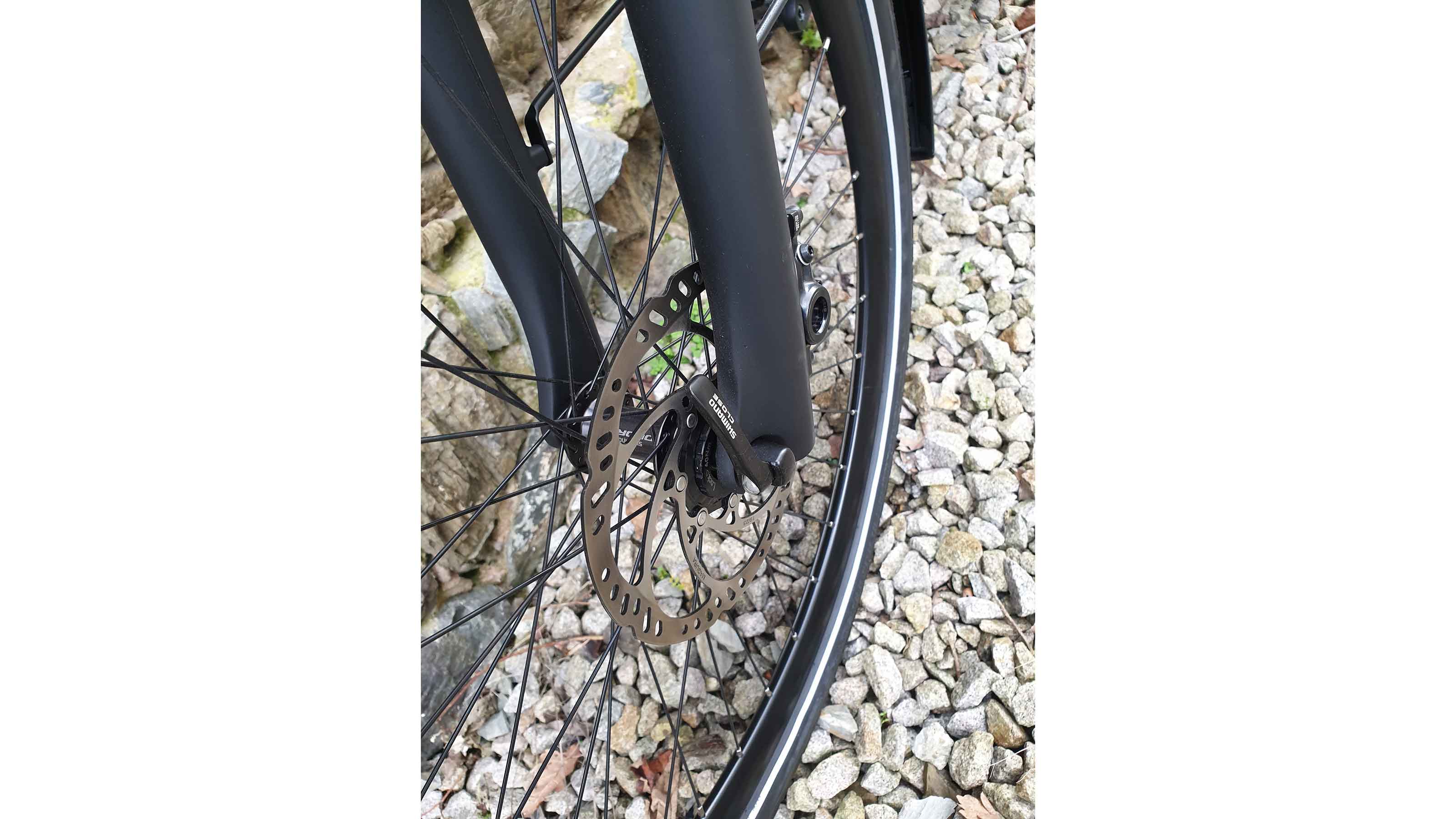 Gazelle Ultimate C5 625Wh Nexus 5-Gang Freilauf