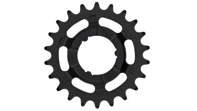 Fahrrad Ritzel günstig kaufen » Tolle Angebote | Oleks Radsport